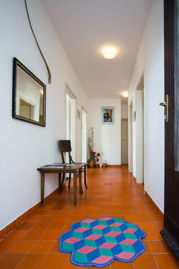 Apartments Podatok 4 Primošten Dış mekan fotoğraf